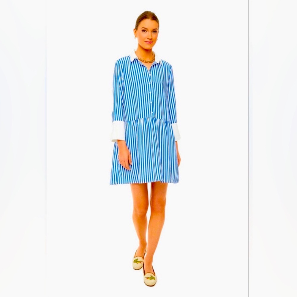 Tuckernuck Blue Stripe Hayes Dress - Large